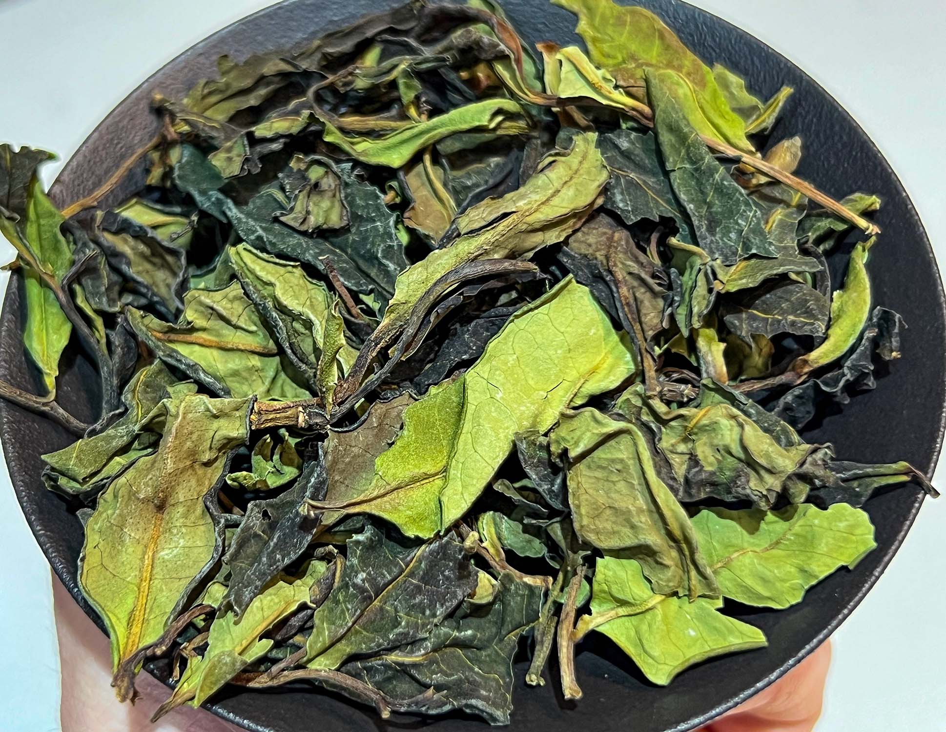 Wild Tree Purple Moonlight White Tea from Jinggu - Image 2